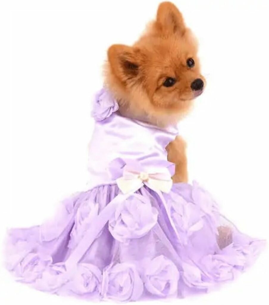 Fancy Dog Dress – Something purple gift 441x500 1